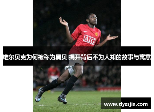 维尔贝克为何被称为黑贝 揭开背后不为人知的故事与寓意